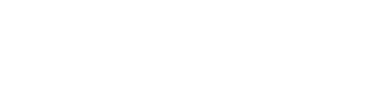 Passport Perspective Logo