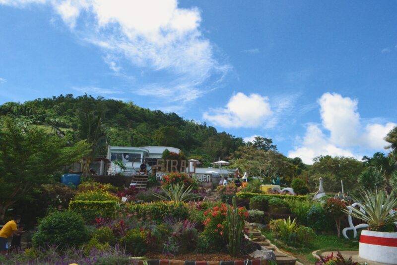 Sirao Flower Gardens in Cebu