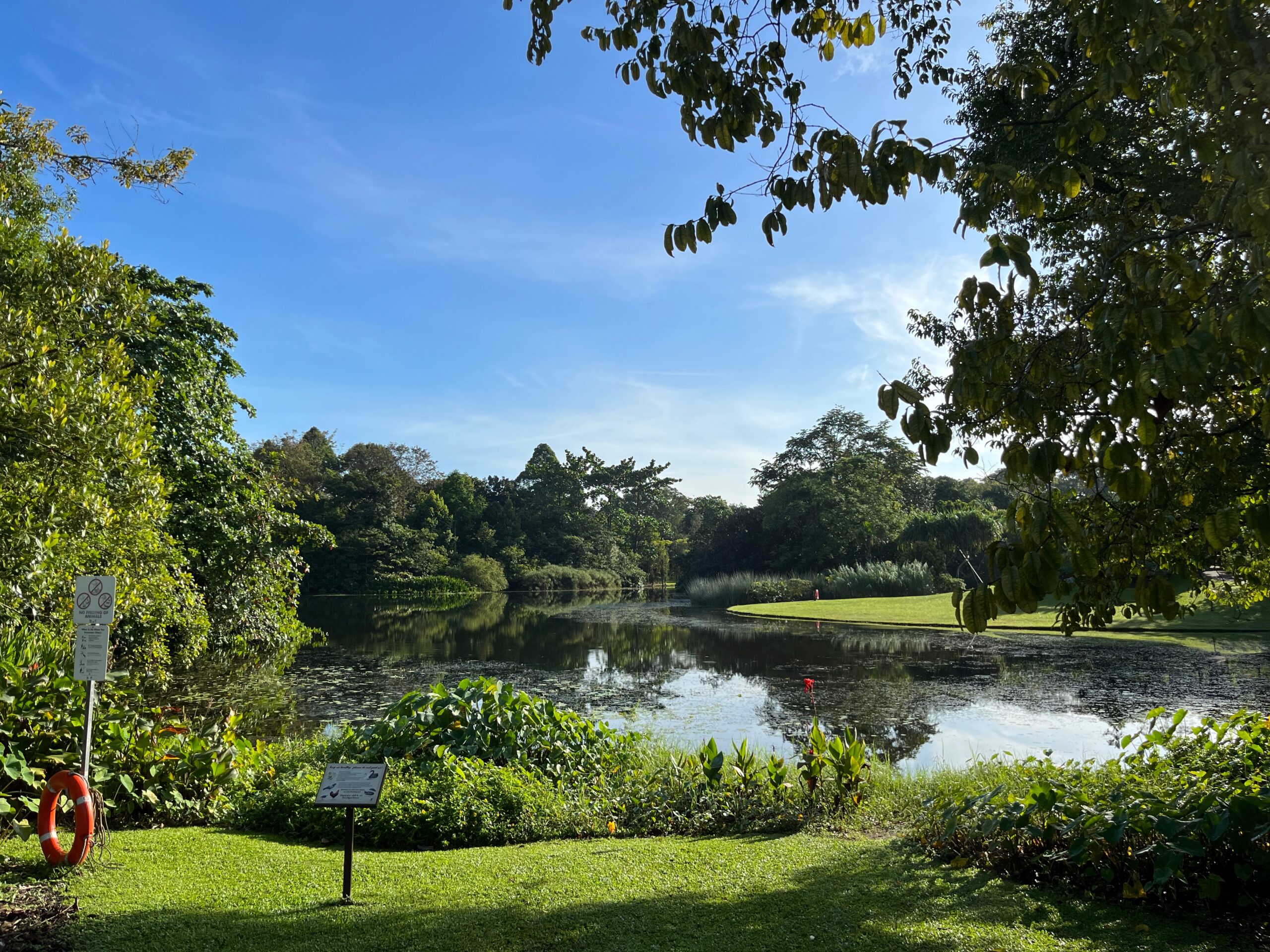 Singapore's Top Green Spaces Botanic Gardens