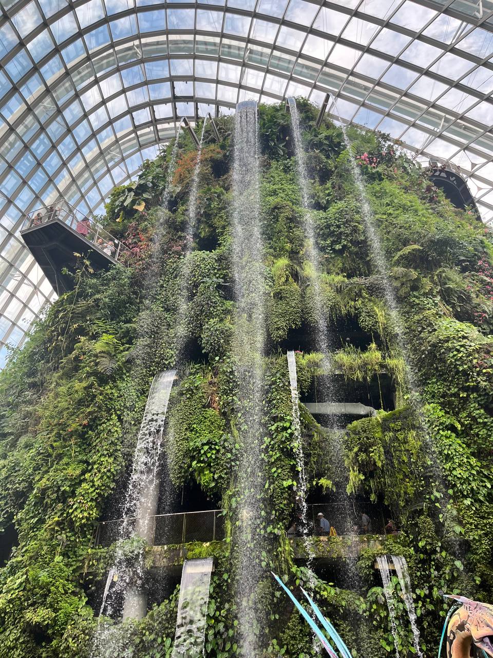 Cloud Forest Singapore