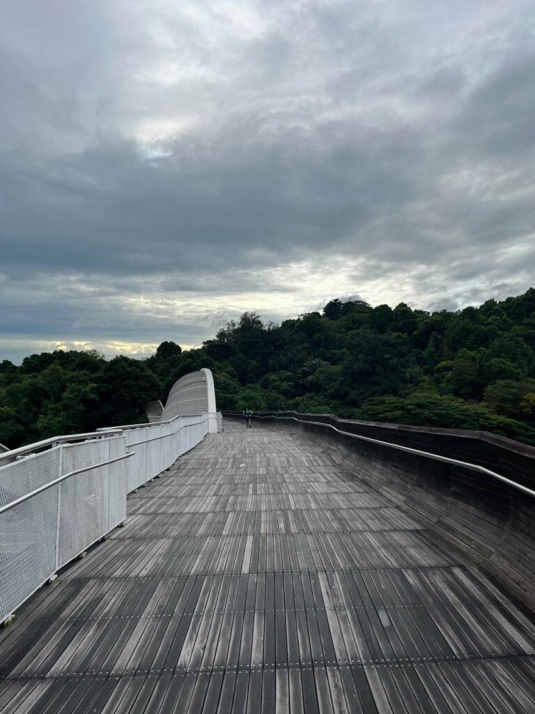 Henderson Waves Singapore