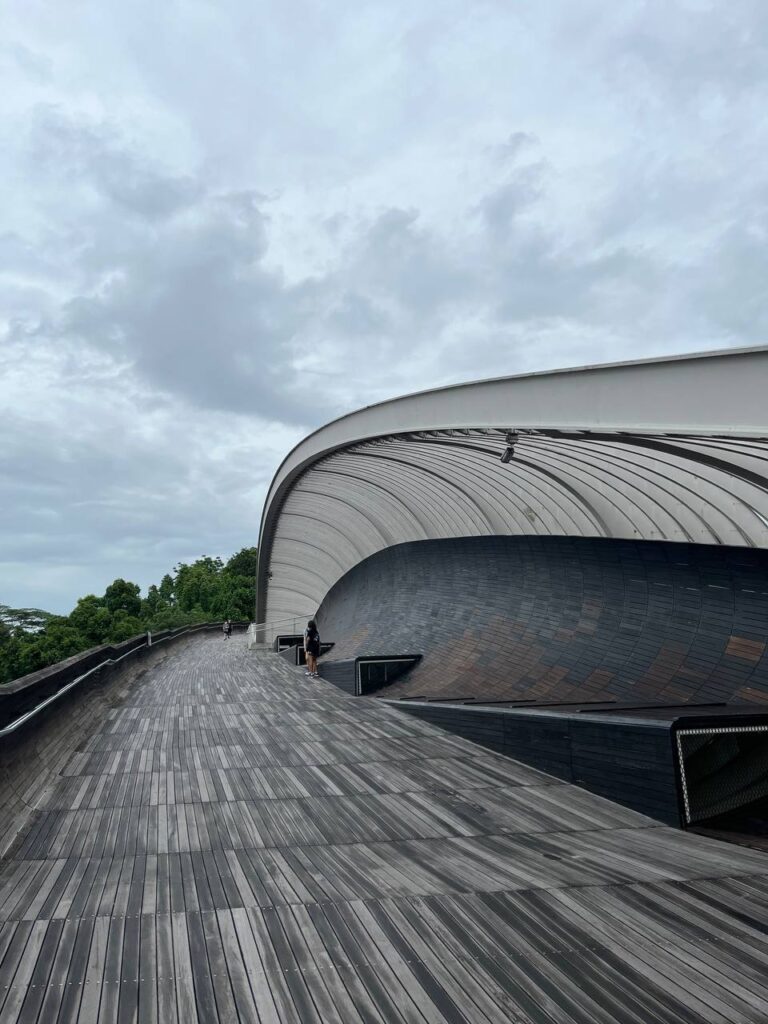 A Henderson Wave in Singapore