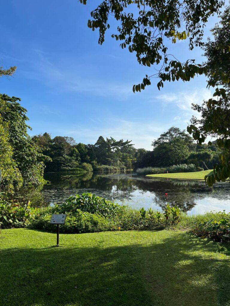 Singapore Botanic Gardens View