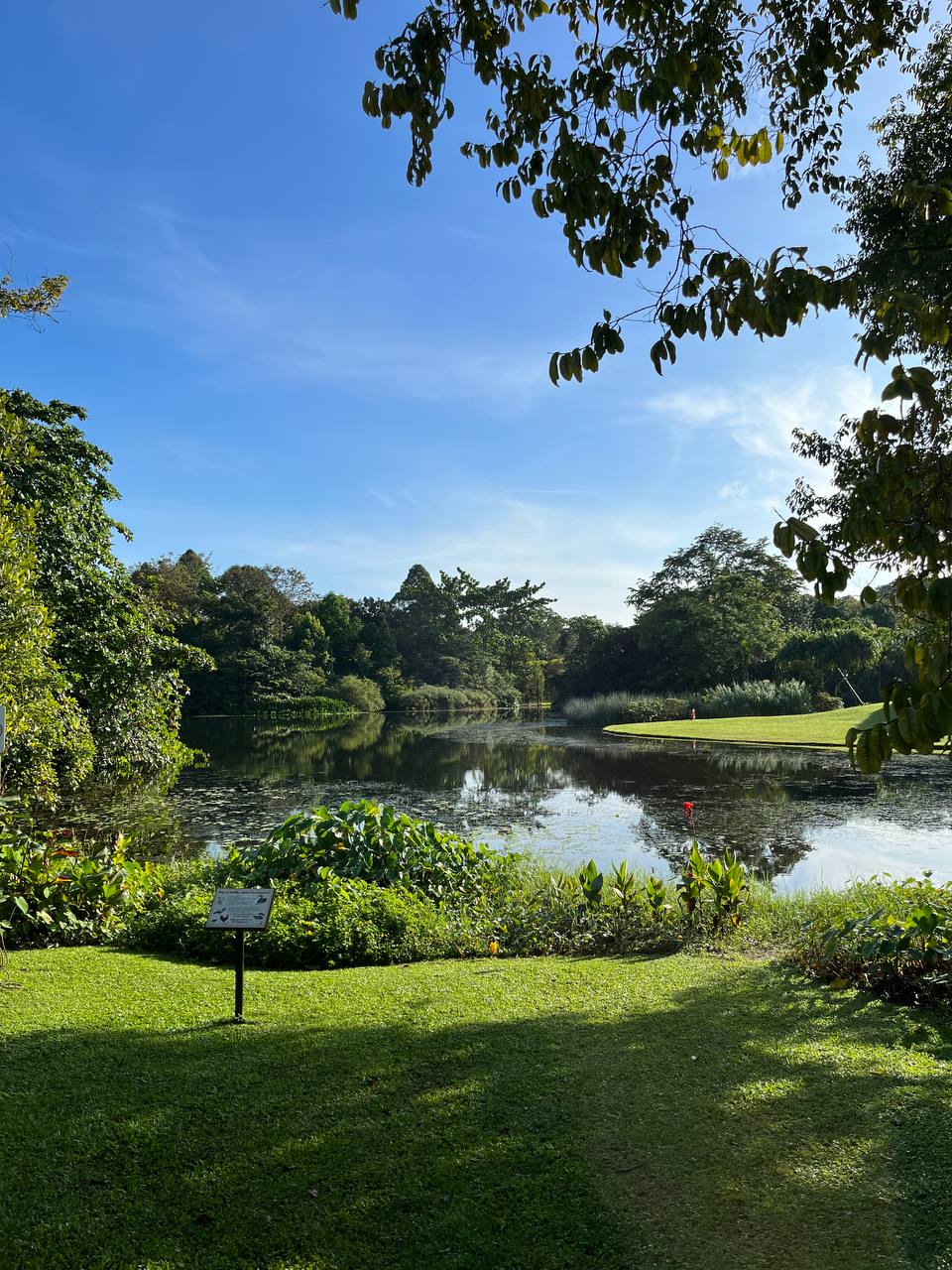 Singapore Hidden Gems - Botanical Gardens