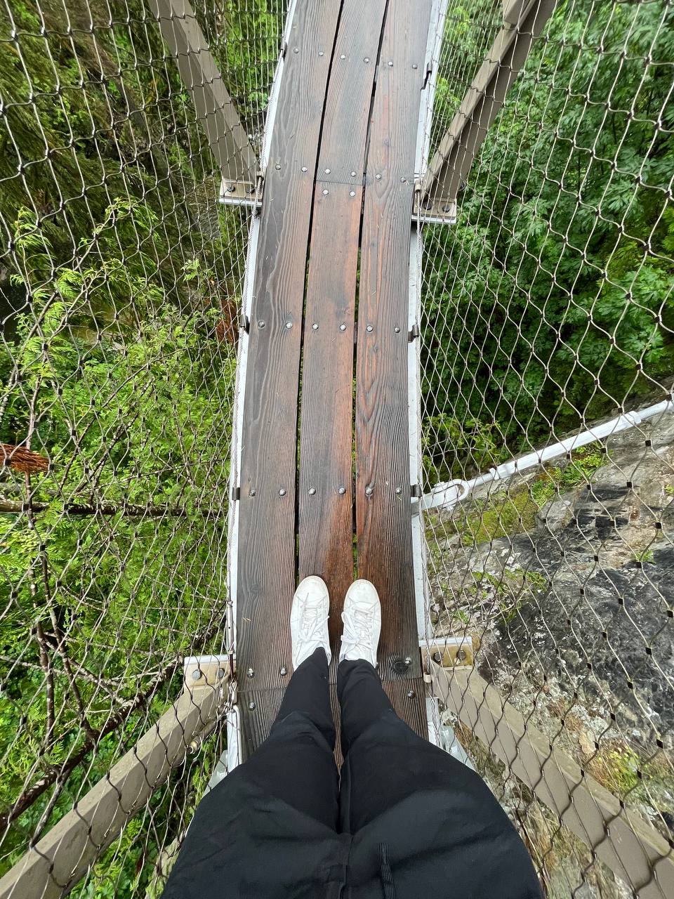 Capilano Suspension Bridge Cliff walk Narrowness