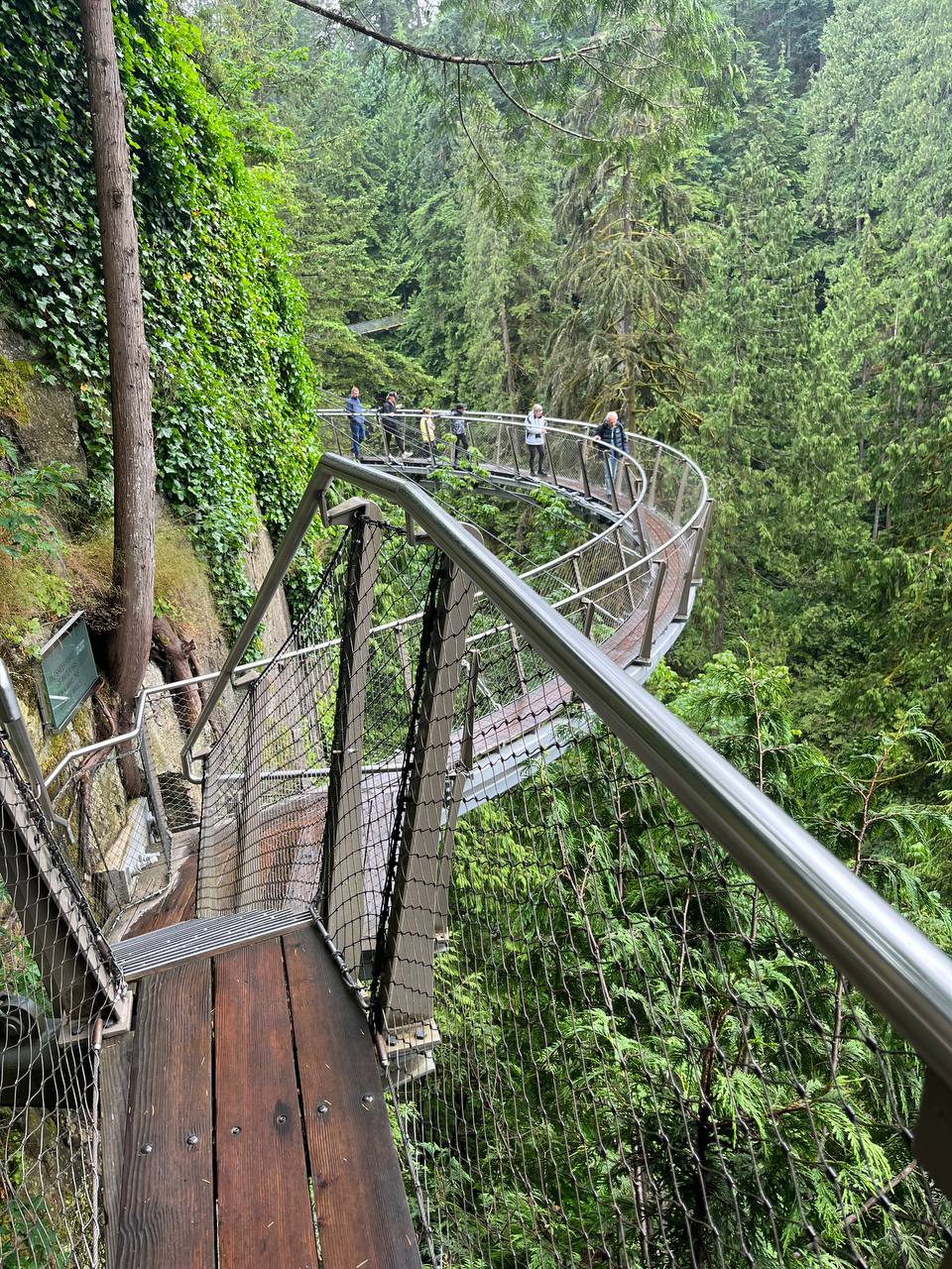 Capilano Suspension Bridge Cliff Walk