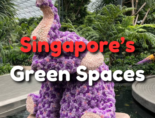 Singapore’s Top Green Spaces to Explore