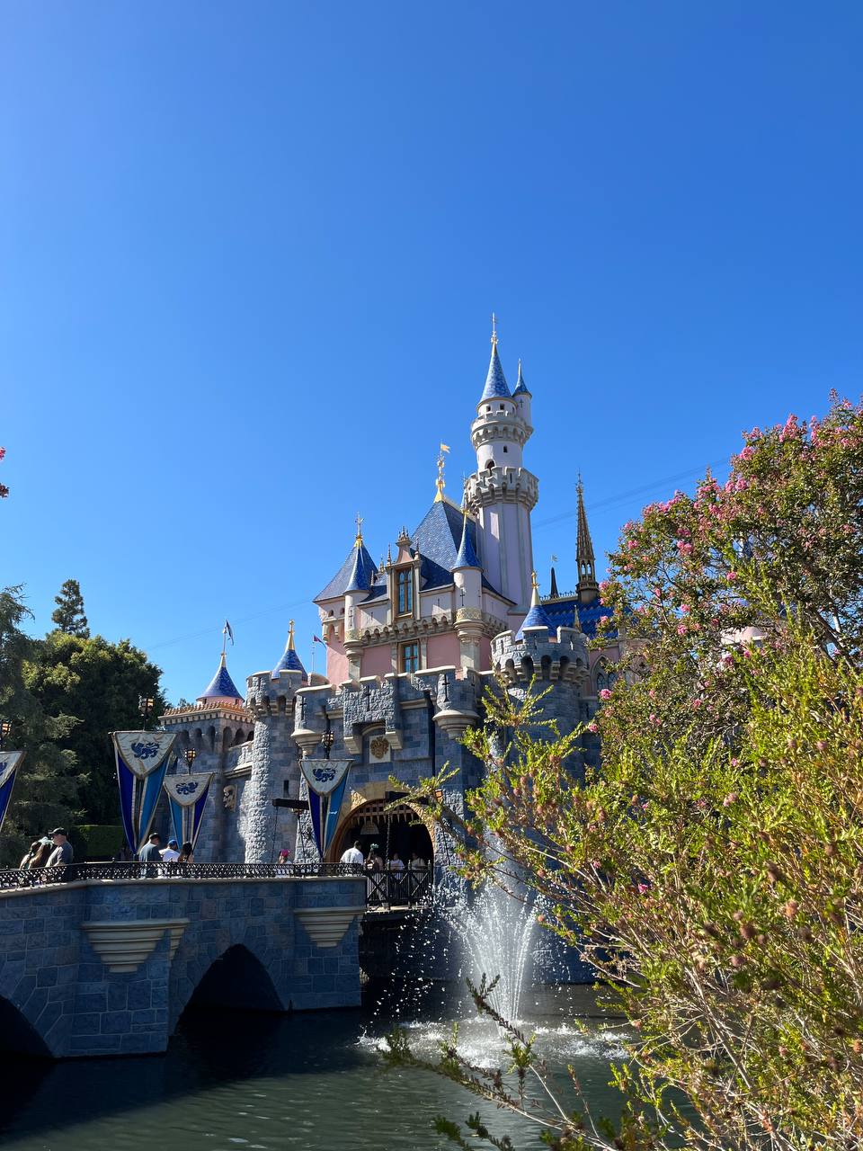 Los Angeles 2 Day itinerary Disneyland