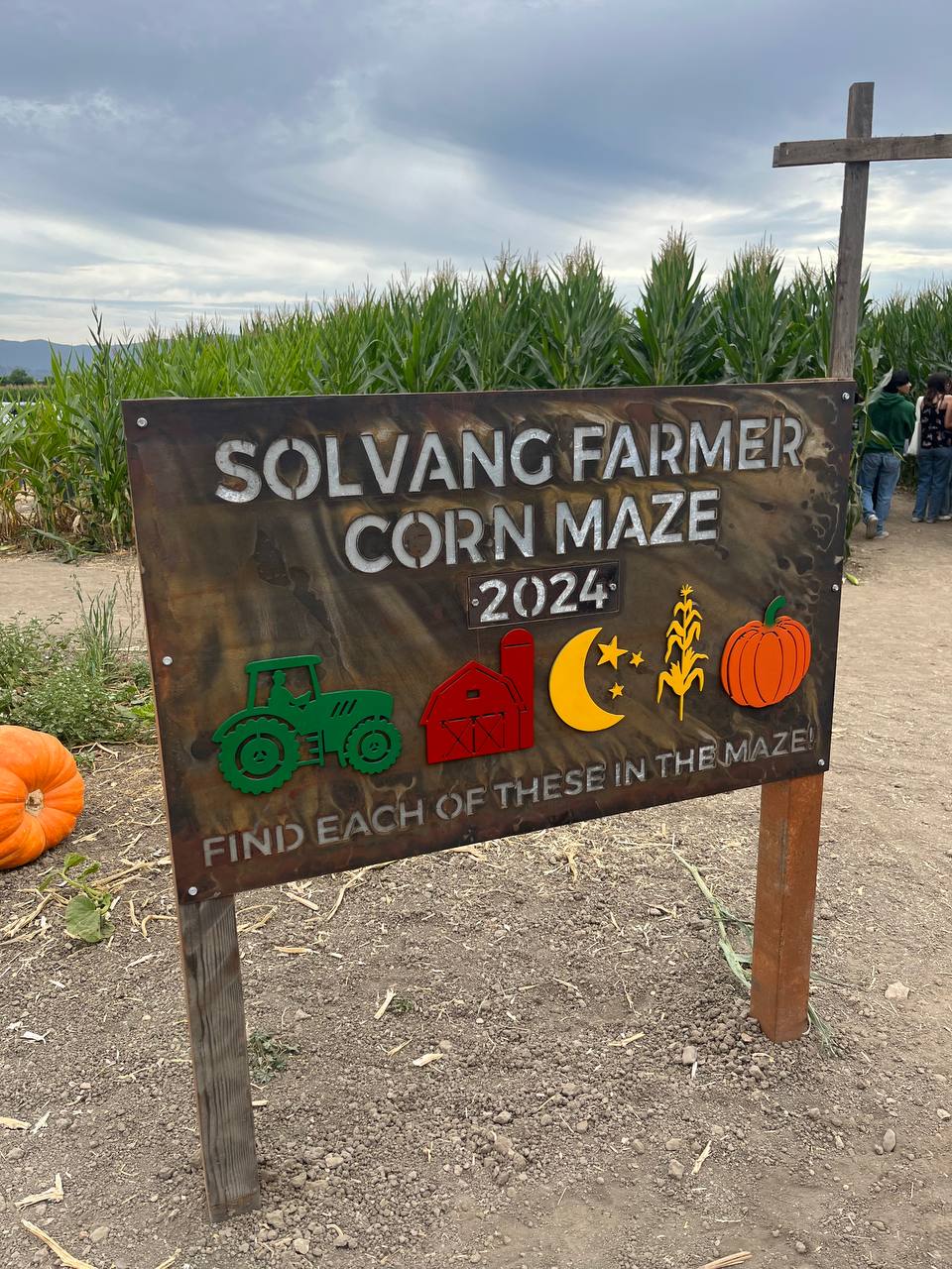 Corn Maze Santa Ynez