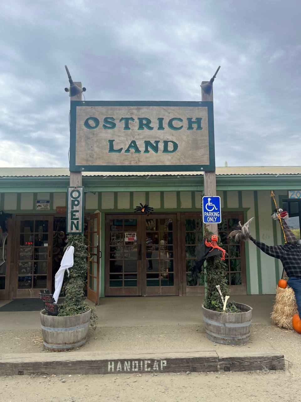 Ostrich Land Santa Ynez