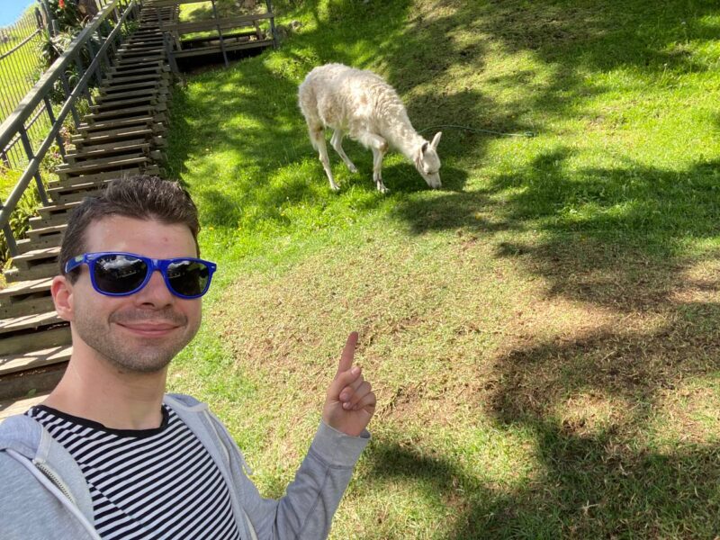Cuenca itinerary llamas