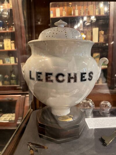 French Quarter leeches