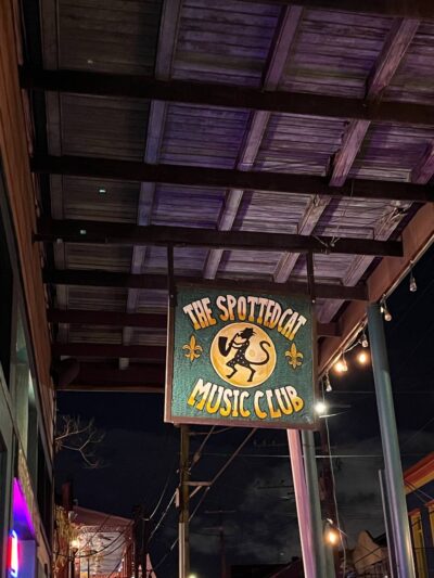 Garden District spotted cat